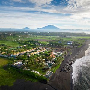 The Royal Purnama